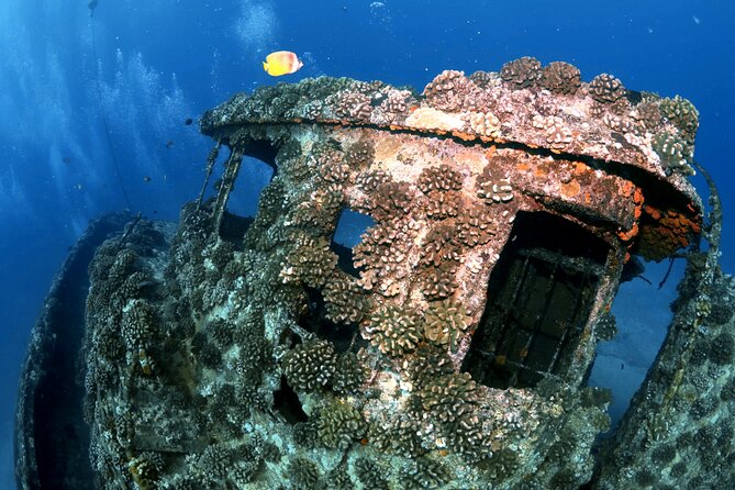 Certified Diver:2-Tank Deep Wreck and Shallow Reef Dives off Oahu - Common questions