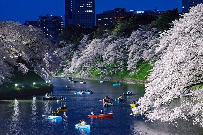 Cherry Blossom Private Tour - Last Words