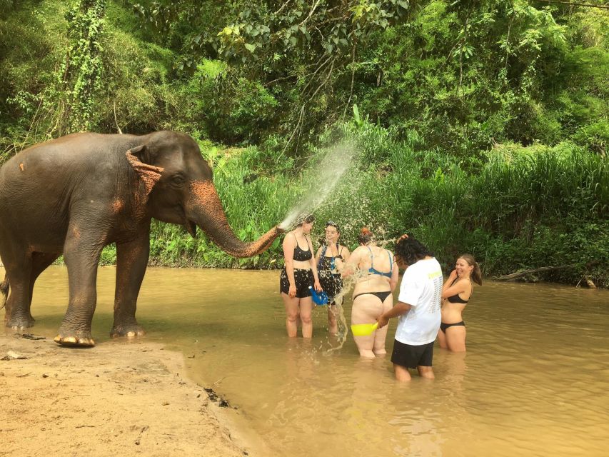 Chiang Mai: 2-Day Jungle Trek With Elephant Farm & Raft Ride - Experience Reviews