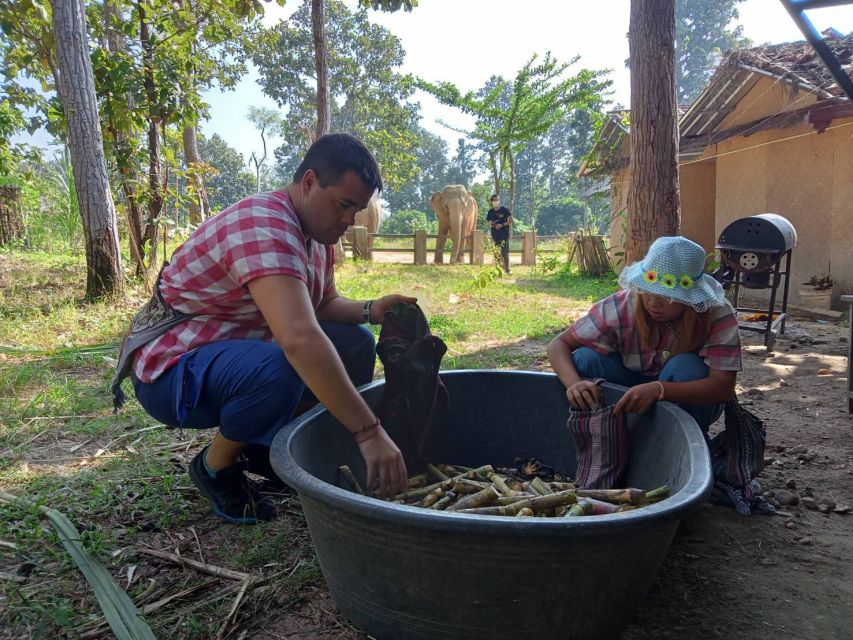 Chiang Mai: Elephant Sanctuary Guided Tour - Tour Highlights