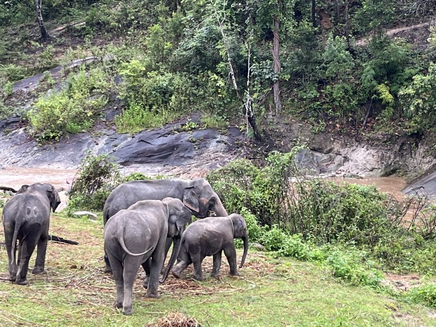 Chiang Mai: Elephant Sanctuary & Waterfall Group Tour - Directions