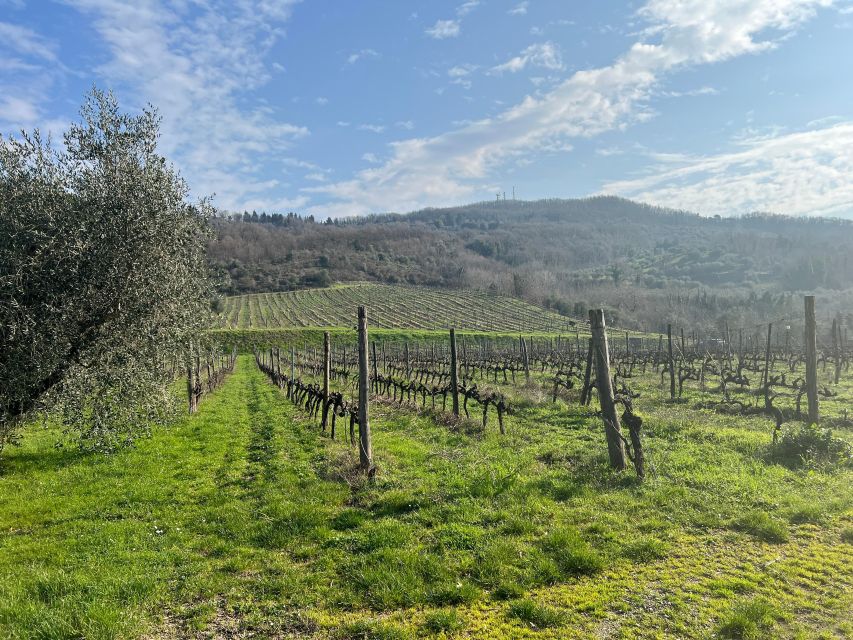Chianti: Wine and Honey Tasting Half-Day Experience - Common questions