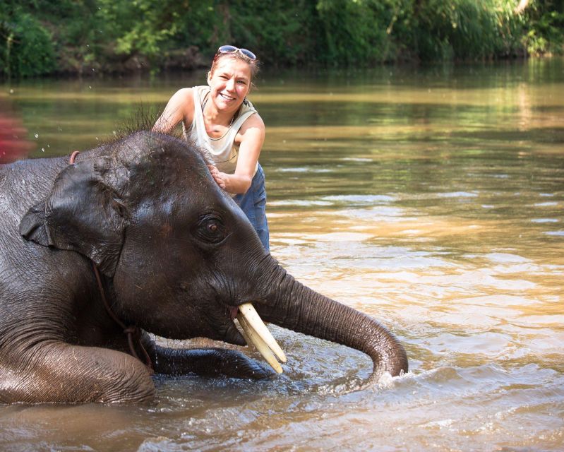 Chitwan Jungle Safari With Elephant Bath (Exclusive Tour) - Location Highlights