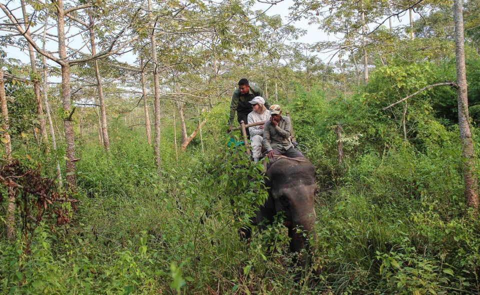 Chitwan National Park Luxury Tour - Common questions