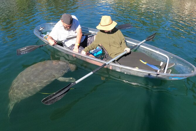 Clear Kayak Manatee Ecotour of Crystal River - The Wrap Up