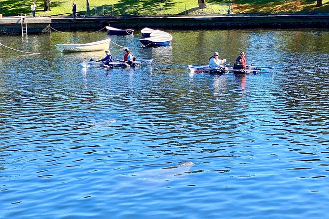 Clear Kayak Tour of Tarpon Springs Manatee Season - Common questions