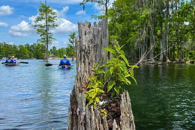 Clear Kayaking Eco Adventure Tour in Marianna - Final Thoughts