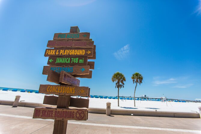 Clearwater Beach Dolphin Speedboat Adventure With Lunch & Transport From Orlando - Last Words