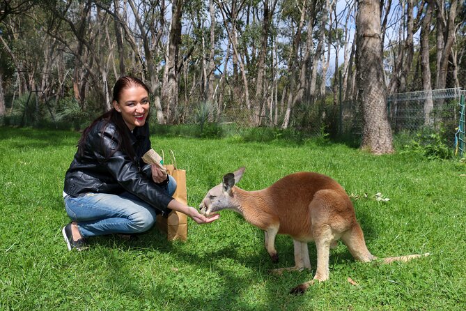 Cleland Wildlife Park Experience - From Adelaide Including Mt Lofty Summit - Directions and Accessibility