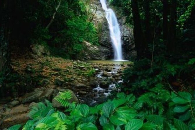 Coral Coast Adventure: Biausevu Waterfall & Natadola Beach ! - Last Words