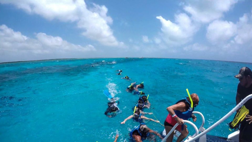 Cozumel: Reef Adventure With Snorkeling and Lunch - Common questions