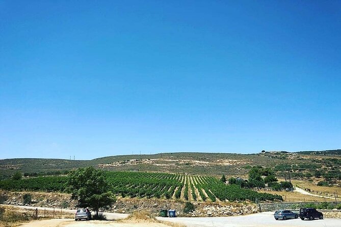 Crete, Peza Half-Day Private Winery Tour - Conclusion