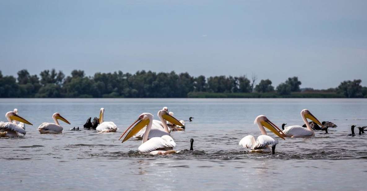 Danube Delta - 2-Day Tour From Bucharest - Last Words