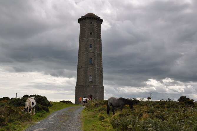 Day Tour From Dublin to Wicklow: Cliffs, Heritage, Wildlife, Gaol - Directions and Availability