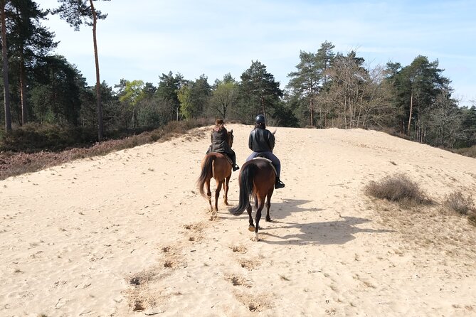 Day Trip to Fontainebleau : Horse Riding, Gastronomy and Castle - Return Journey and Farewell
