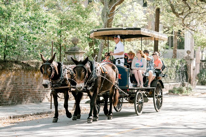 Daytime Horse-Drawn Carriage Sightseeing Tour of Historic Charleston - Practical Details