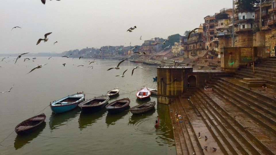 Delhi: 6-Day Golden Triangle & Varanasi Private Tour - Customer Reviews and Recommendations