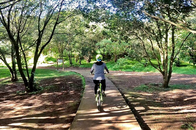 Descend in Mountain Bike in Northern Forests of Gran Canaria - How to Book