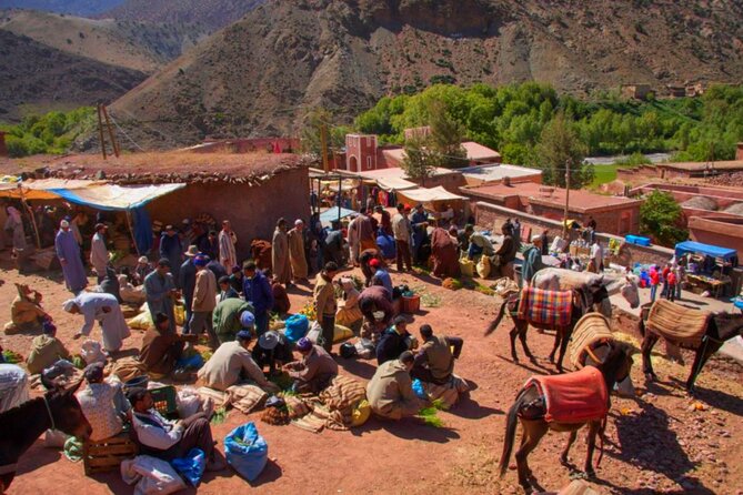 Desert Agafay & Waterfalls & Atlas Mountains Camel Ride Day Trip From Marrakech - Last Words