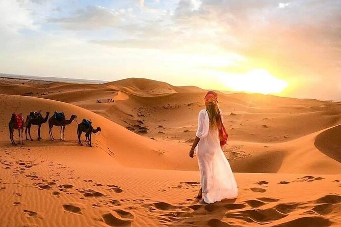 Desert Wonders: 3Day Small Group From Marrakech to Merzouga Dunes - Contact Information