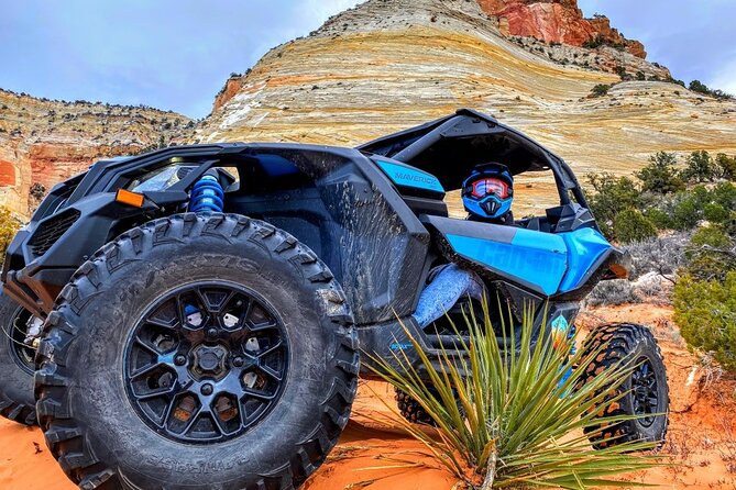 Dianas Throne UTV Adventure Near Zion National Park - Safety Measures