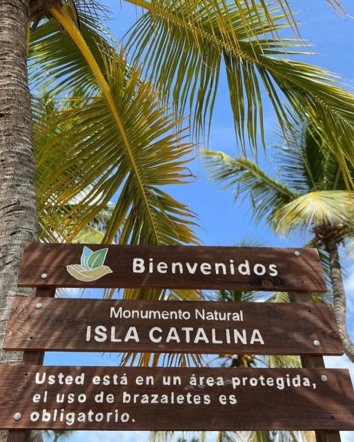 Discover Catalina Island - Snorkelling, Open Buffet & Drinks - Customer Insights and Tips