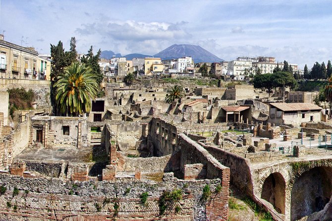 DISCOVERING POMPEII and HERCULANEUM - VIP Tour With Lunch - Tour Operator Details