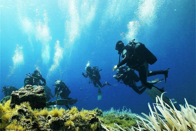 Diving With PADI 5 Star CDC Diving Resort Isola Bella Marine Park Taormina - Weather Considerations
