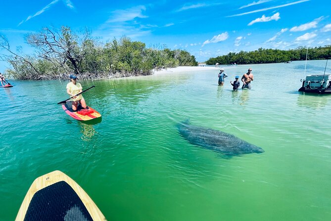 Dolphin and Manatee Adventure Tour of Fort Myers - The Wrap Up