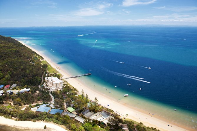 Dolphin Feeding Day Cruise to Tangalooma Island Resort on Moreton Island - Last Words