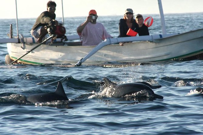 Dolphin Tour and Sunrise Watching in Lovina Beach - All Inclusive - Last Words