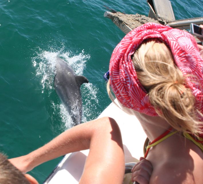 Dolphin Watching in the Wild - Half Day Private Tour - Common questions