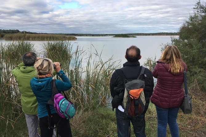 Donana National Park and El Rocío: 4x4 Guided Tour From Seville - Last Words