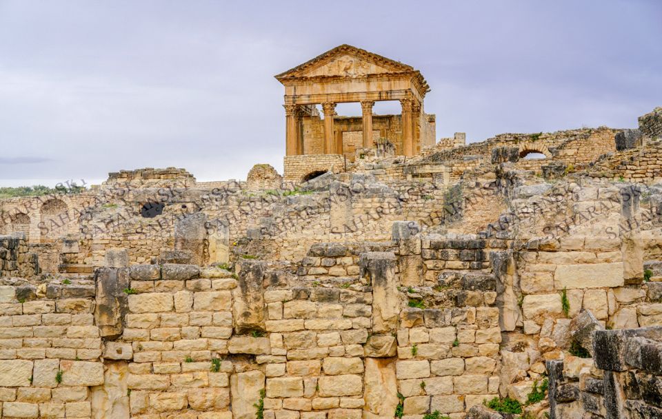Dougga & Bulla Regia Private Full-Day Tour With Lunch - Customer Experience