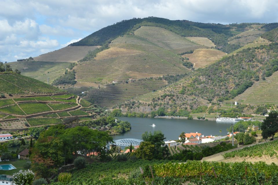 Douro Valley Private Tour From Braga: Lunch & Wine Tour - Delight in Portuguese Cuisine
