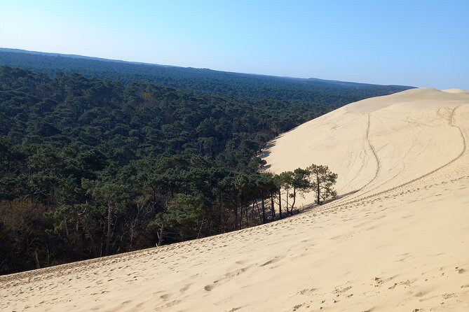 Dune Du Pilat and Oysters Tasting in Only 1 Hour Away From Bordeaux ! What Else? - Directions and Recommendations