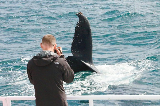 Dunsborough Whale Watching Eco Tour - Common questions