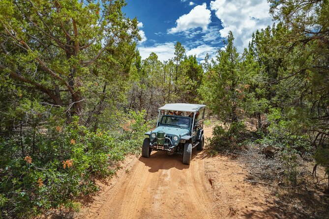 East Zion East Rim Jeep Tour - Weather Considerations