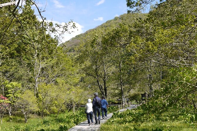 Easygoing Nature Walk in Hakone Tour - Cancellation Policy