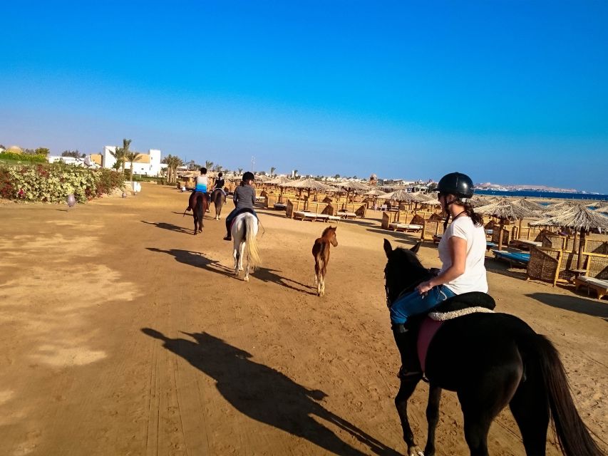 El Gouna: Desert & Sea Horse Riding With Swimming Optional - Language Options for Live Guides