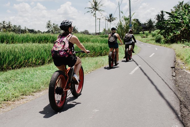 Electric Bike Tour in Ubud - Local Cultural Interactions