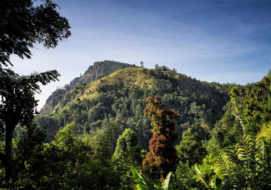 Ella: 9 Arch Bridge, Ella Rock, & Little Adam'S Peak Tour - Last Words