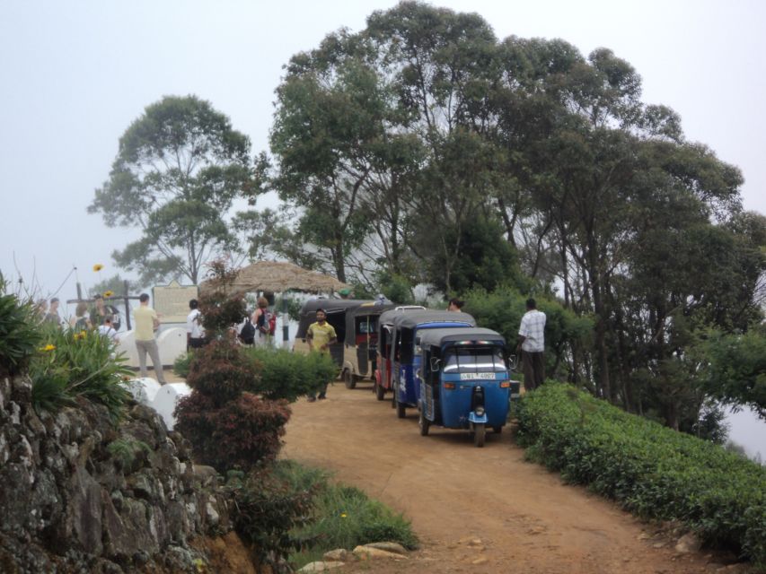 Ella: Tuk-Tuk Safari Day Trip and Tea Fields Hike With Lunch - Live Tour Guide