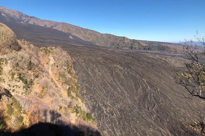 Etna Morning Tour - Common questions