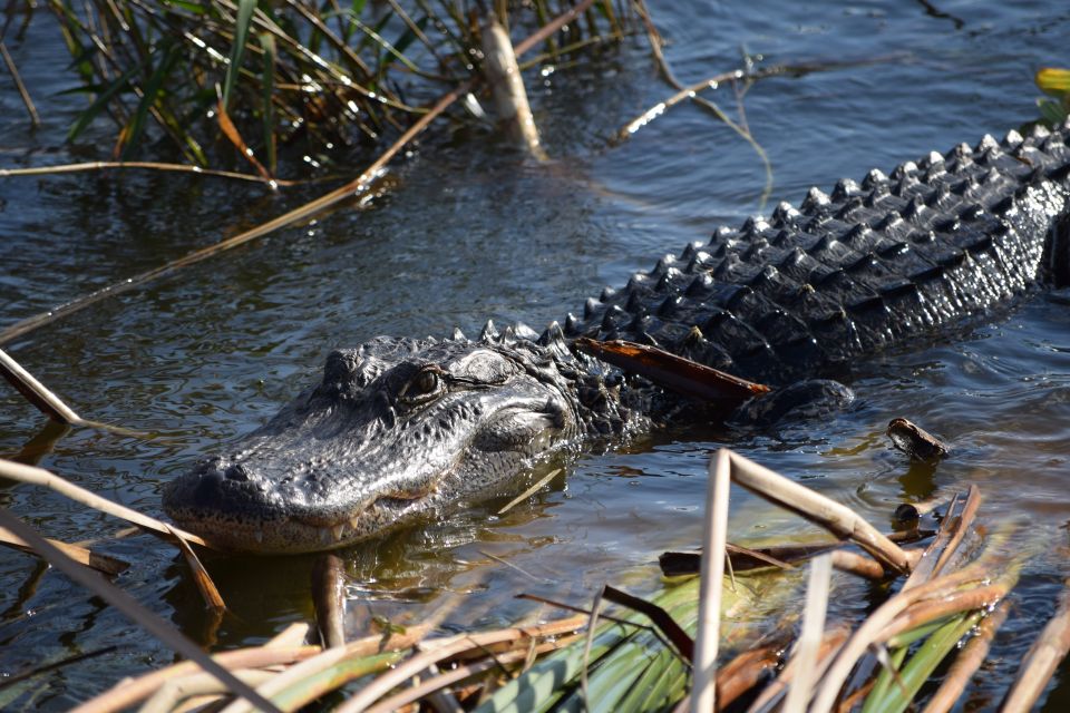 Everglades Day Safari From Fort Lauderdale - Directions