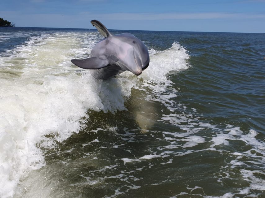 Everglades National Park: Motorboat Eco Tour - Last Words