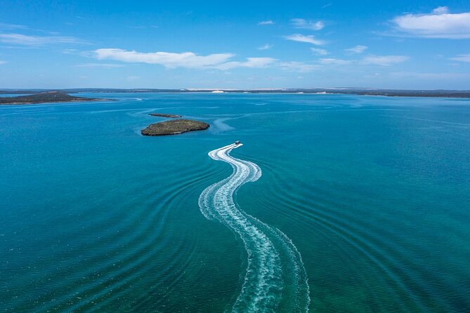Experience Coffin Bay Short and Sweet Oyster Farm Tour - Last Words
