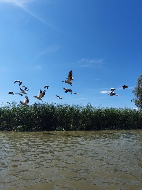 Explore Danube Delta and Black See in 2 Day Private Tour - Day Two Itinerary