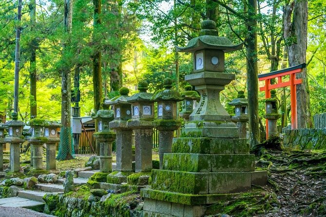 Explore the Best Spots of Arashiyama / Nara in a One Day Private Tour From Kyoto - Return to Kyoto