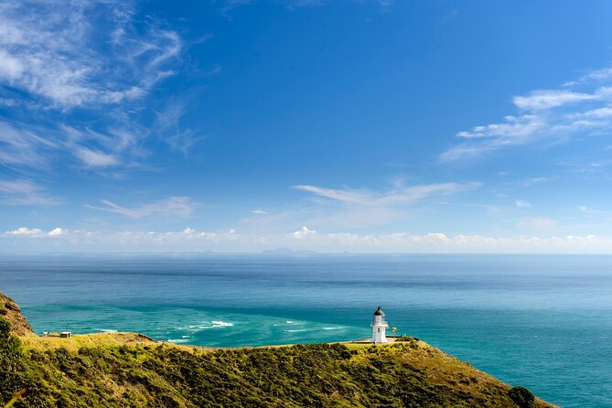Far North New Zealand Tour Including 90 Mile Beach and Cape Reinga From Paihia - Last Words